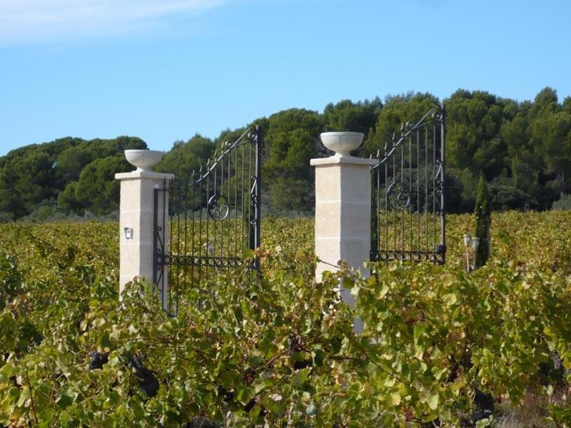 Chateau De Valloubiere Saint-Jean-de-Fos Exterior foto